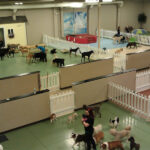 Day Care Regular(Per Hour)